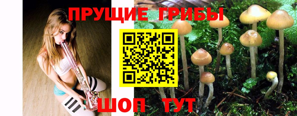 Галлюциногенные грибы прущие грибы Кыштым